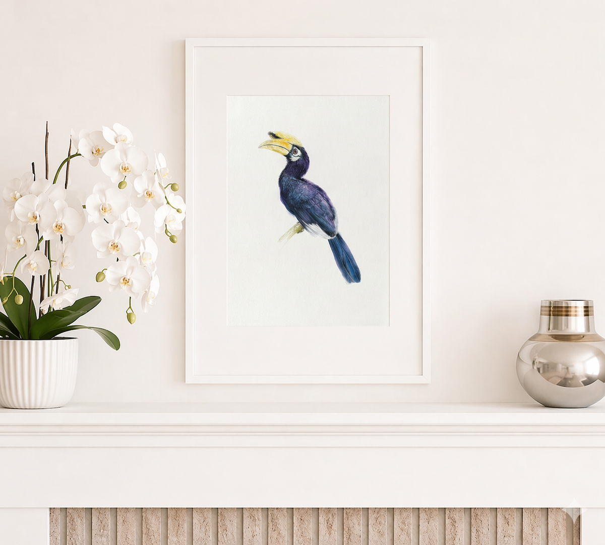 Oriental Pied Hornbill