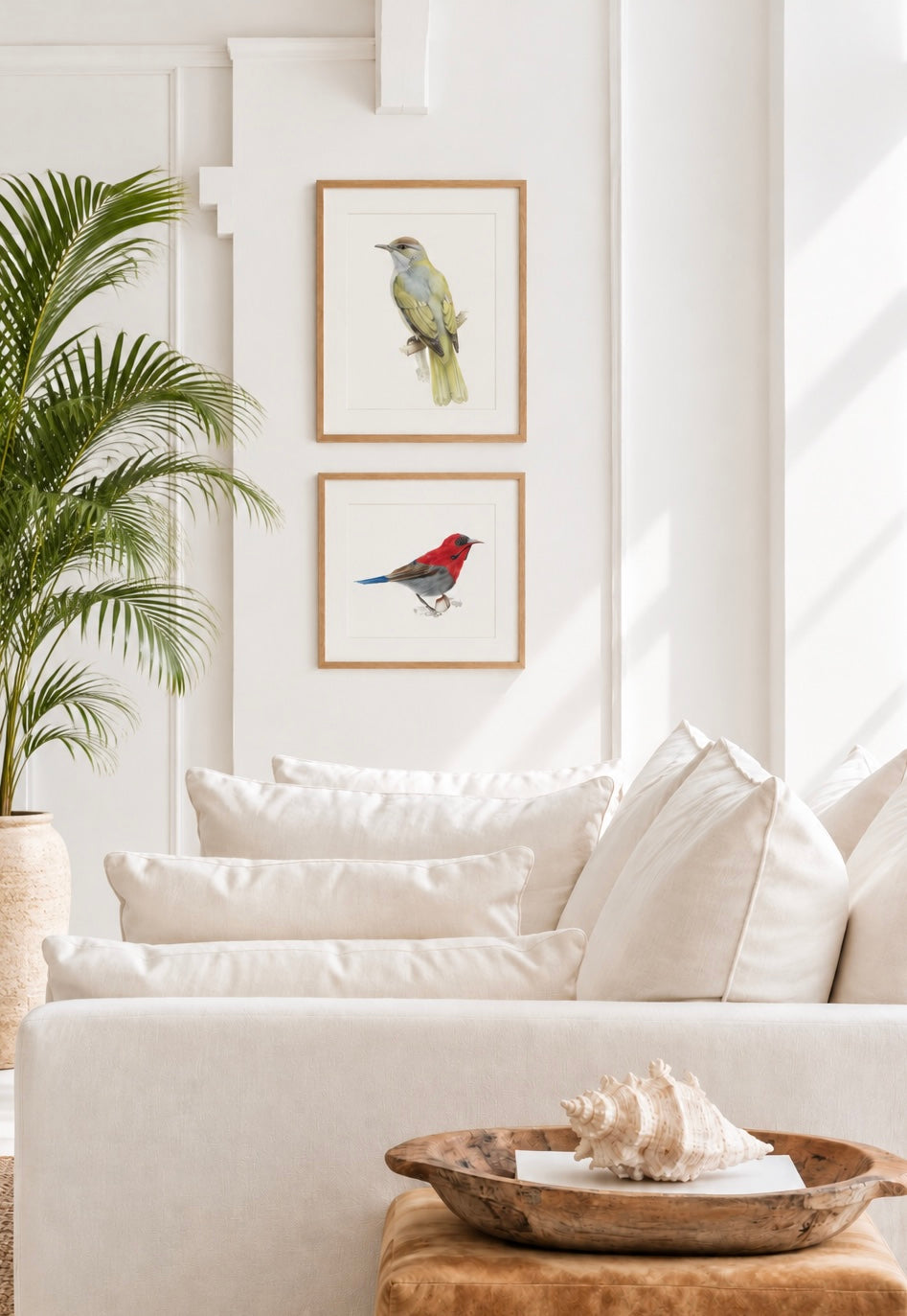Straw-Headed Bulbul
