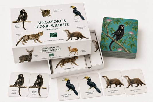 Singapore’s Iconic Wildlife Memory Game